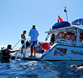 Photo of Boat Diver courses in Key Largo, Florida Keys