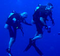Picture of Drift Diver courses in Key Largo, Florida Keys