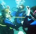 Picture of Peak Performance Buoyancy diving classes in Key Largo, Florida Keys