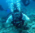 Picture of underwater navigator certification in Key Largo, Florida Keys