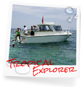 Tropical Explorer photo, part of our customized dive fleet in the Florida Keys, Key Largo
