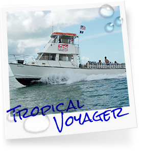 Tropical Voyager photo, part of our customized dive fleet in the Florida Keys, Key Largo