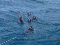 Great day of scuba diving in Key Largo with Rainbow Reef on benwood wreck tropical adventure 2013 12 15 r103 1