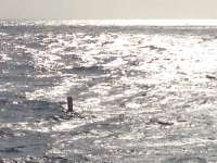 Great day of scuba diving in Key Largo with Rainbow Reef on benwood wreck tropical adventure 2013 12 15 r103 2