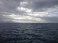 Great day of scuba diving in Key Largo with Rainbow Reef on christmastree cave tropical adventure 2013 12 31 r117 1
