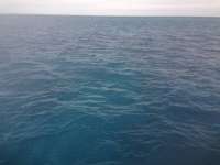 Great day of scuba diving in Key Largo with Rainbow Reef on christmastree cave tropical adventure 2013 12 31 r117 3