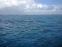 Great day of scuba diving in Key Largo with Rainbow Reef on christmastree cave tropical voyager 2013 12 07 r93 2