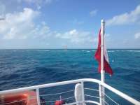 Great day of scuba diving in Key Largo with Rainbow Reef on eagle ray alley tropical adventure 2013 12 14 r102 1