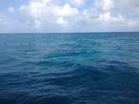Great day of scuba diving in Key Largo with Rainbow Reef on eagle ray alley tropical adventure 2013 12 14 r102 2