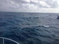 Great day of scuba diving in Key Largo with Rainbow Reef on eagle ray alley tropical adventure 2013 12 14 r102 3