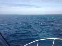 Great day of scuba diving in Key Largo with Rainbow Reef on eagle ray alley tropical adventure 2013 12 16 r105 1