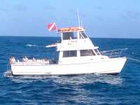 Great day of scuba diving in Key Largo with Rainbow Reef on eagle ray alley tropical adventure 2013 12 23 r109 1