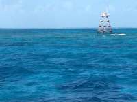 Great day of scuba diving in Key Largo with Rainbow Reef on eagle ray alley tropical adventure 2013 12 23 r109 3
