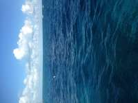 Great day of scuba diving in Key Largo with Rainbow Reef on fire coral cave tropical adventure 2013 12 05 r91 1