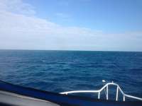 Great day of scuba diving in Key Largo with Rainbow Reef on french reef tropical adventure 2013 12 17 r106 1