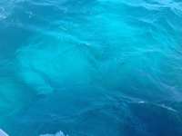 Great day of scuba diving in Key Largo with Rainbow Reef on molasses reef tropical adventure 2013 12 13 r101 3