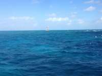 Great day of scuba diving in Key Largo with Rainbow Reef on molasses reef tropical adventure 2013 12 13 r101 4