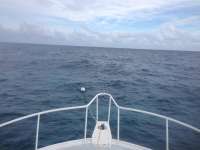 Great day of scuba diving in Key Largo with Rainbow Reef on molasses reef tropical adventure 2013 12 27 r114 1