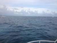 Great day of scuba diving in Key Largo with Rainbow Reef on molasses reef tropical adventure 2013 12 27 r114 2