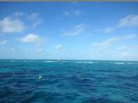 Great day of scuba diving in Key Largo with Rainbow Reef on north star tropical adventure 2013 12 10 r97 1