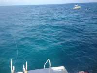 Great day of scuba diving in Key Largo with Rainbow Reef on snapper ledge tropical adventure 2013 12 15 r104 2