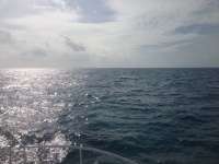 Great day of scuba diving in Key Largo with Rainbow Reef on snapper ledge tropical adventure 2013 12 15 r104 3