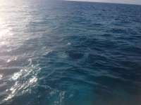 Great day of scuba diving in Key Largo with Rainbow Reef on snapper ledge tropical adventure 2013 12 27 r113 2