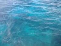 Great day of scuba diving in Key Largo with Rainbow Reef on winch hole tropical adventure 2013 12 26 r112 2