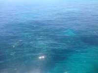Great day of scuba diving in Key Largo with Rainbow Reef on christ statue tropical odyssey 2014 04 05 r237 2