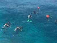 Great day of scuba diving in Key Largo with Rainbow Reef on christ statue tropical odyssey 2014 04 05 r237 3