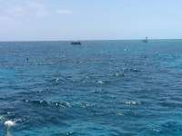 Great day of scuba diving in Key Largo with Rainbow Reef on city of washington tropical odyssey 2014 04 15 r251 1