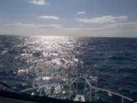 Great day of scuba diving in Key Largo with Rainbow Reef on drift french tropical adventure 2014 04 01 r226 1