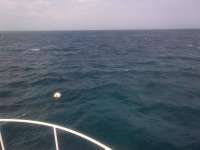 Great day of scuba diving in Key Largo with Rainbow Reef on eagle ray alley tropical adventure 2014 04 16 r253 1