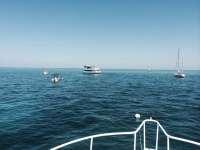 Great day of scuba diving in Key Largo with Rainbow Reef on molasses reef tropical adventure 2014 04 26 r265 1