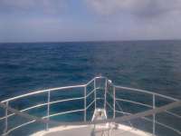 Great day of scuba diving in Key Largo with Rainbow Reef on molasses reef tropical odyssey 2014 04 30 r275 1