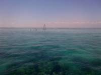 Great day of scuba diving in Key Largo with Rainbow Reef on molasses reef tropical voyager 2014 04 26 r266 1