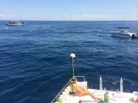 Great day of scuba diving in Key Largo with Rainbow Reef on spiegel grove tropical voyager 2014 04 05 r235 1