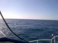 Great day of scuba diving in Key Largo with Rainbow Reef on winch hole tropical voyager 2014 04 19 r256 1
