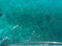 Great day of scuba diving in Key Largo with Rainbow Reef on banana patch tropical voyager 2014 08 11 r640 3