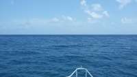 Great day of scuba diving in Key Largo with Rainbow Reef on benwood wreck tropical odyssey 2014 08 18 r675 1