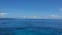 Great day of scuba diving in Key Largo with Rainbow Reef on christ statue tropical adventure 2014 08 07 r615 1