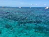 Great day of scuba diving in Key Largo with Rainbow Reef on christ statue tropical voyager 2014 08 11 r642 2