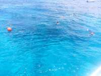 Great day of scuba diving in Key Largo with Rainbow Reef on christmastree cave tropical adventure 2014 08 01 r576 1