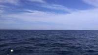 Great day of scuba diving in Key Largo with Rainbow Reef on christmastree cave tropical adventure 2014 08 28 r710 1