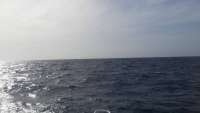 Great day of scuba diving in Key Largo with Rainbow Reef on christmastree cave tropical adventure 2014 08 30 r720 1