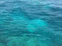 Great day of scuba diving in Key Largo with Rainbow Reef on christmastree cave tropical odyssey 2014 08 29 r715 3