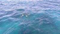Great day of scuba diving in Key Largo with Rainbow Reef on christmastree cave tropical voyager 2014 08 12 r644 1