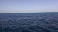 Great day of scuba diving in Key Largo with Rainbow Reef on christmastree cave tropical voyager 2014 08 24 r694 1