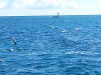 Great day of scuba diving in Key Largo with Rainbow Reef on city of washington tropical odyssey 2014 08 05 r603 1