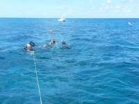 Great day of scuba diving in Key Largo with Rainbow Reef on city of washington tropical odyssey 2014 08 12 r647 1
